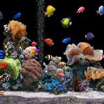 pic for Aquarium HD 